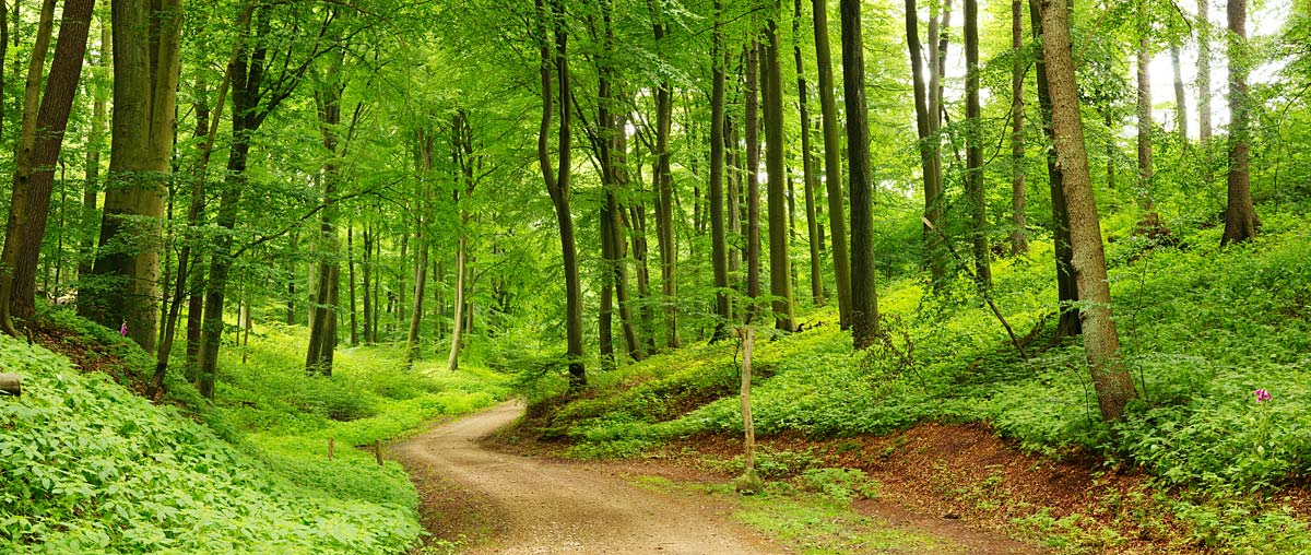 Urlaub im Bayerischen Wald